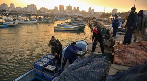 Israel lifts part of fishing ban in Gaza Strip - ảnh 1